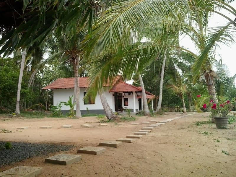 Chillenjoy Cabanas & Restaurant Tangalle Dış mekan fotoğraf